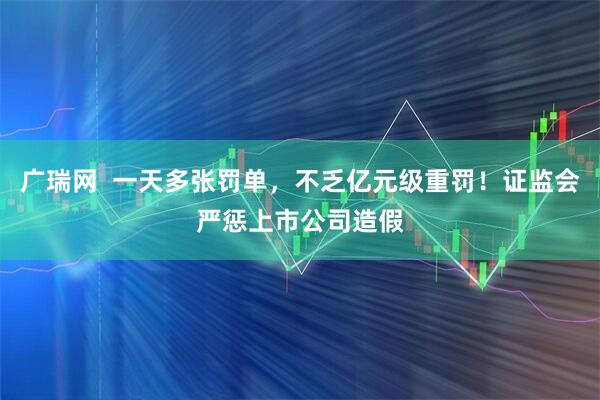 广瑞网  一天多张罚单，不乏亿元级重罚！证监会严惩上市公司造假