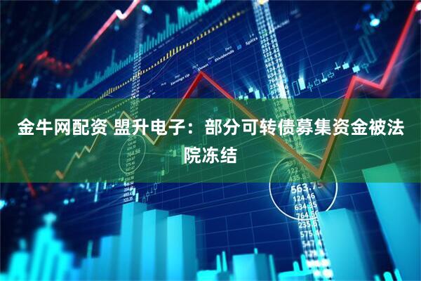 金牛网配资 盟升电子：部分可转债募集资金被法院冻结